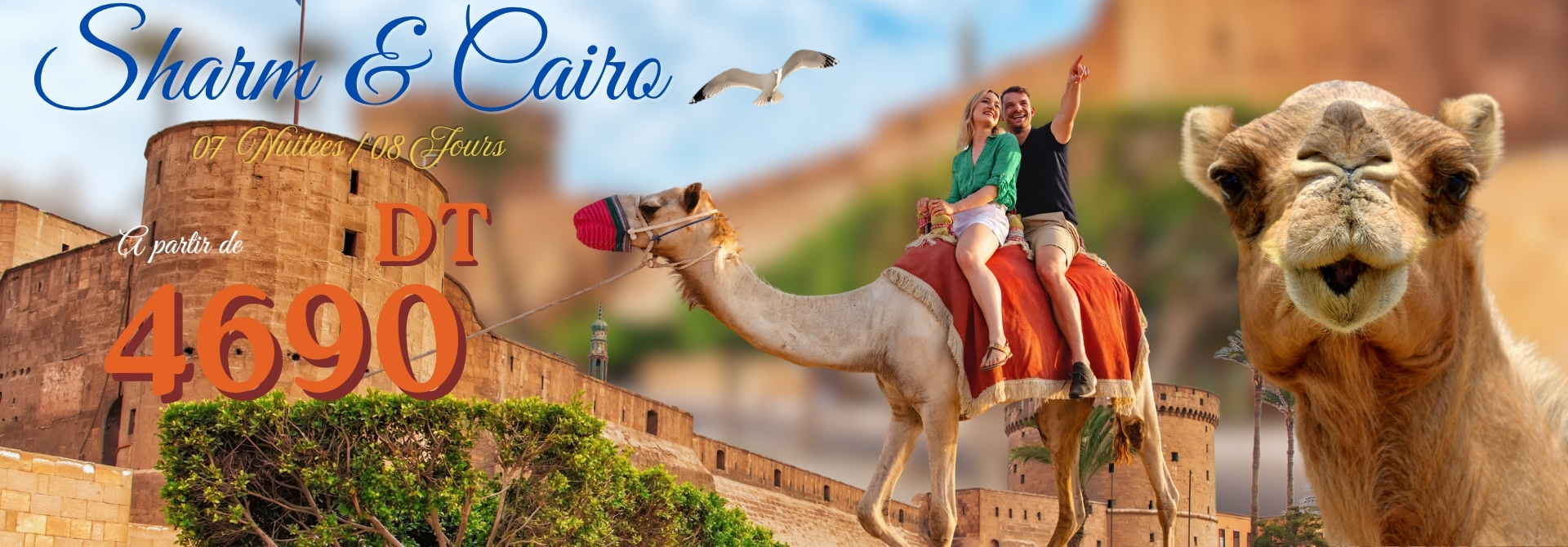 SHARM & CAIRO SUMMER 2026