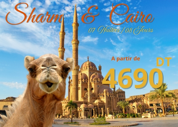 SHARM & CAIRO SUMMER 2026